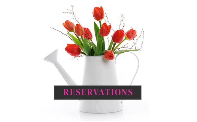 IMAGE OF TULIPS SAYING TAKING RESERVATIONS NOW